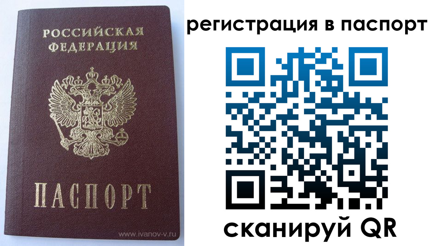 прописка ребенка в Дмитрове
